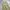 Musinsa standard wide balloon pants beige photo 7