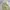 Musinsa standard wide balloon pants beige photo 2