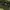 STUSST SPORT SCRIPT CAMO photo 4