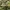 STUSST SPORT SCRIPT CAMO photo 3