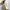 Fear of God Essentials Jersey Crewneck Tee photo 4