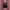 Y2k double layered tanktop photo 1