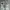 More core division mcd gray wash embroidery denim pants photo 7