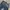 SAGESEESMORE - STRONGFOOT 19OZ SANFORIZED DEEP INDIGO SELVED photo 4