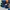 SEPATU COMPASS TRIBUNE NAVY GUM photo 1