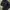 JACKET GORPCORE CARUMBY DRIZZLE UNISEX photo 8