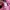 Shein pink knit with leather vest top photo 10