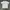 Marni by silvia gnerra drawing baby tee t shirt photo 7