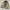 USN N1 Deck Jacket Military photo 4