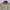USN N1 Deck Jacket Military photo 2