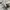 USN N1 Deck Jacket Military photo 6