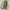 Jacket Tactical Multipocket photo 6