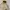 Jacket Tactical Multipocket photo 4