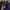Guess photo 3