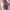 CHAPS RL VINTAGE WORK JAKET HARINGTON  photo 2