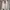 CHAPS RL VINTAGE WORK JAKET HARINGTON  photo 1
