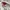 Omighty Y2K Romper Wanita white photo 4