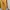 Omighty Y2K Romper Wanita yellow photo 3