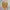 Omighty Y2K Romper Wanita Yellow