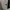 Chanel coco handle medium caviar leather photo 7