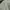 BDU Trousers Woodland Small Short Us Army
 photo 7