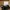 🎙️ SecondWave Dynamic Podcast Microphone photo 1