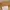 🎙️ SecondWave Dynamic Podcast Microphone photo 6