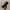 🎙️ SecondWave Dynamic Podcast Microphone photo 2