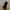 🎙️ SecondWave Dynamic Podcast Microphone photo 5