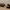 🎙️ SecondWave Dynamic Podcast Microphone photo 3