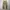 Uniform bridge fatigue pants. photo 1