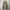 Uniform Bridge Fatigue Pants.