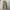 Uniform bridge fatigue pants. photo 3