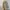 Byneeth Haru Skirt Cream photo 1