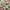Byneeth Haru Skirt Cream photo 3