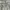  [FREE / Gratis] Light Green Top photo 2