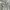  [FREE / Gratis] Light Green Top
