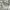  [FREE / Gratis] Light Green Top photo 3