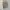  [FREE / Gratis] Light Green Top photo 1