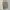  [FREE / Gratis] Light Green Top