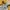 Omighty Y2K Crop top Wanita yellow photo 4