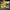 Yonex Sportswear Sneakers Kids yellow photo 4