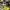 Yonex Sportswear Sneakers Kids yellow photo 3