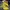 Yonex Sportswear Sneakers Kids yellow photo 1