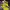 Yonex Sportswear Sneakers Kids Yellow