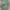 Vintage 80’s Us Navy Woodland Camouflage Jacket Reworking Ve photo 6