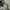 Vintage 80’s Us Navy Woodland Camouflage Jacket Reworking Ve photo 3