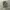 Vintage 80’s Us Navy Woodland Camouflage Jacket Reworking Ve photo 1