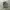 Vintage 80’s Us Navy Woodland Camouflage Jacket Reworking Ve