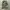 Vintage 80’s Us Navy Woodland Camouflage Jacket Reworking Ve photo 4